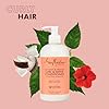 Coconut & Hibicus Curl & Shine Conditioner
