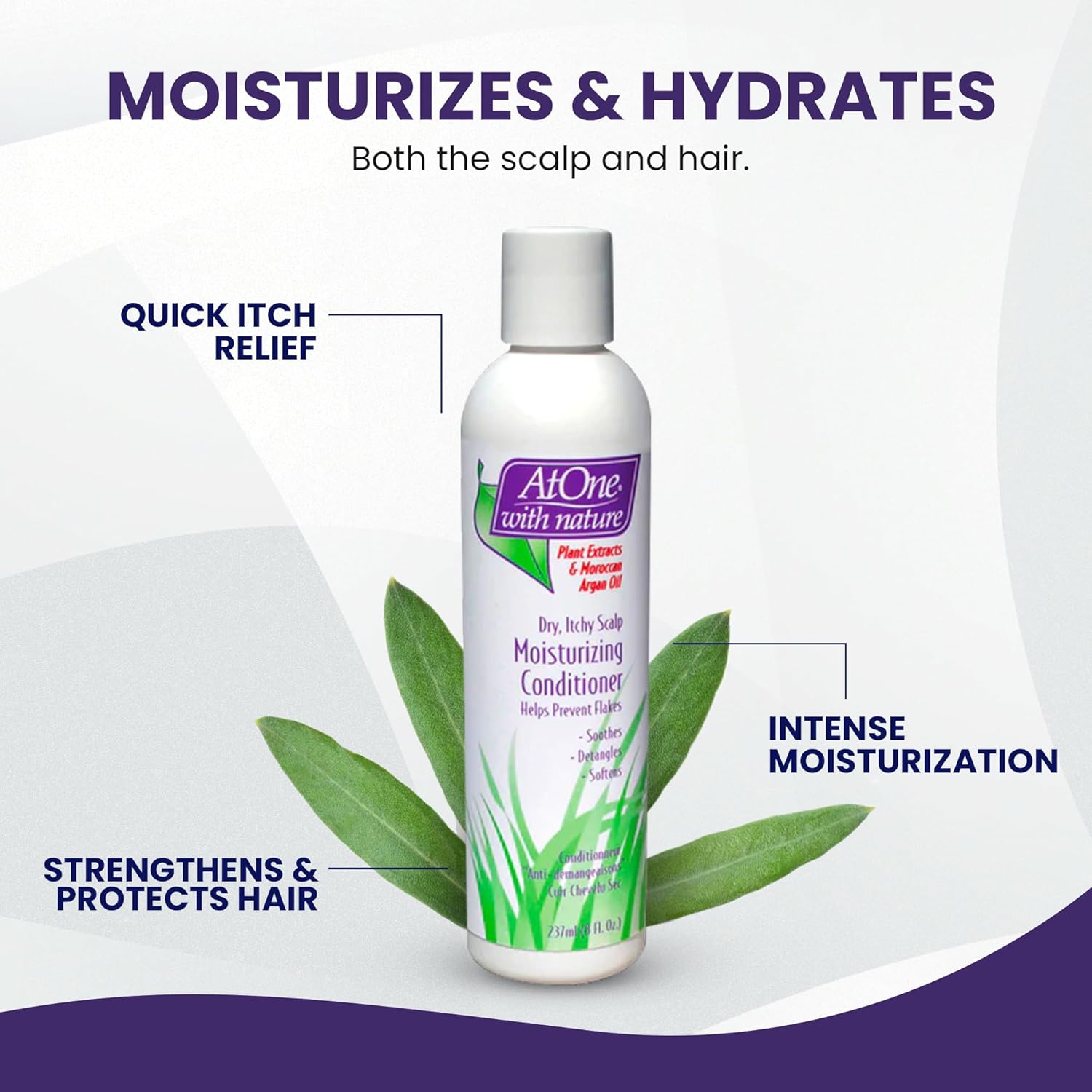 Dry Itchy Scalp Conditioner