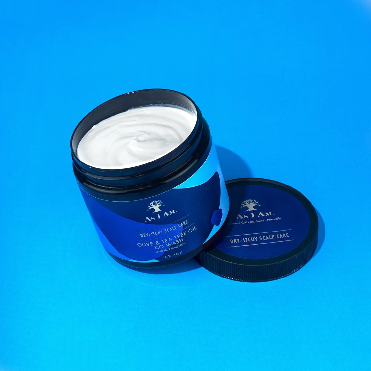 Dry & Itchy Scalp Care Dandruff Co Wash