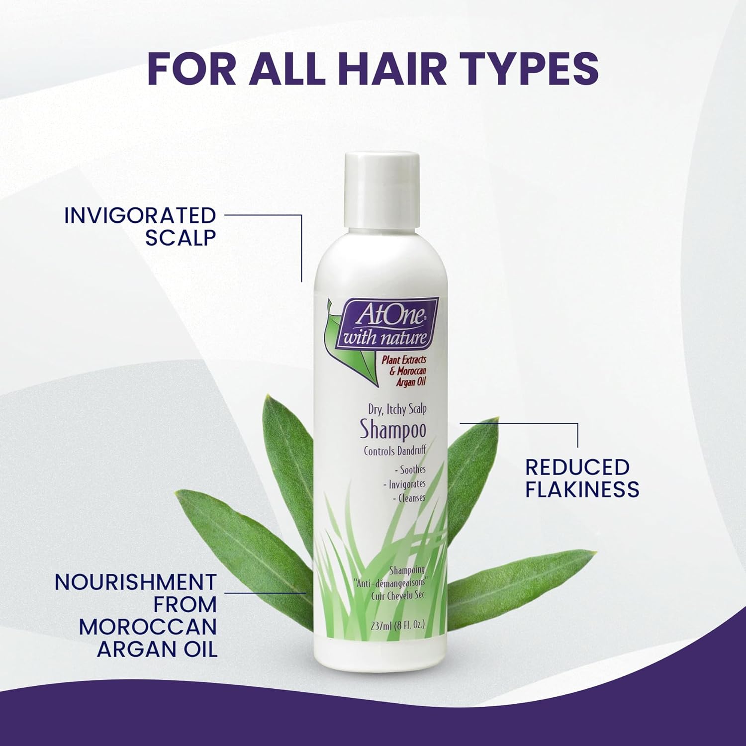 Dry Itchy Scalp Shampoo