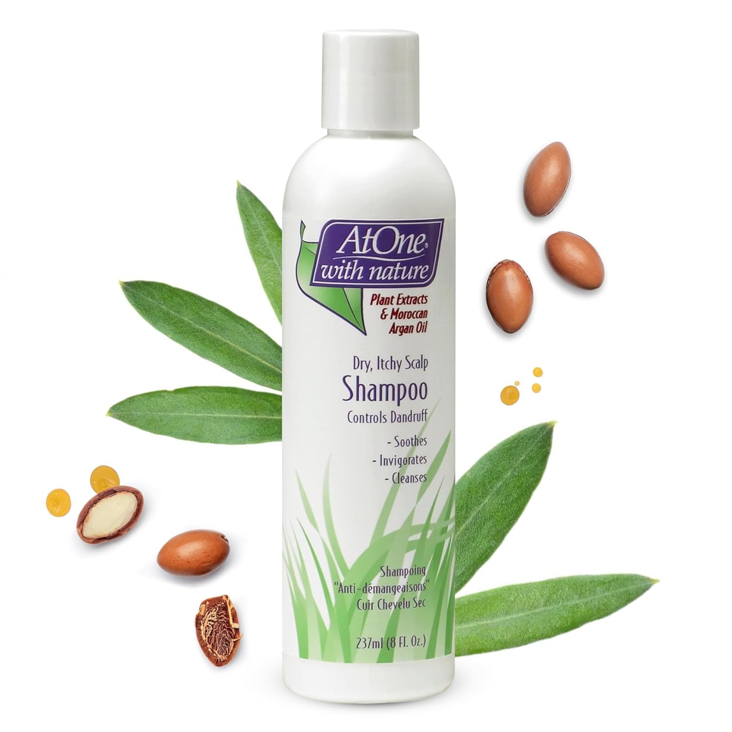 Dry Itchy Scalp Shampoo