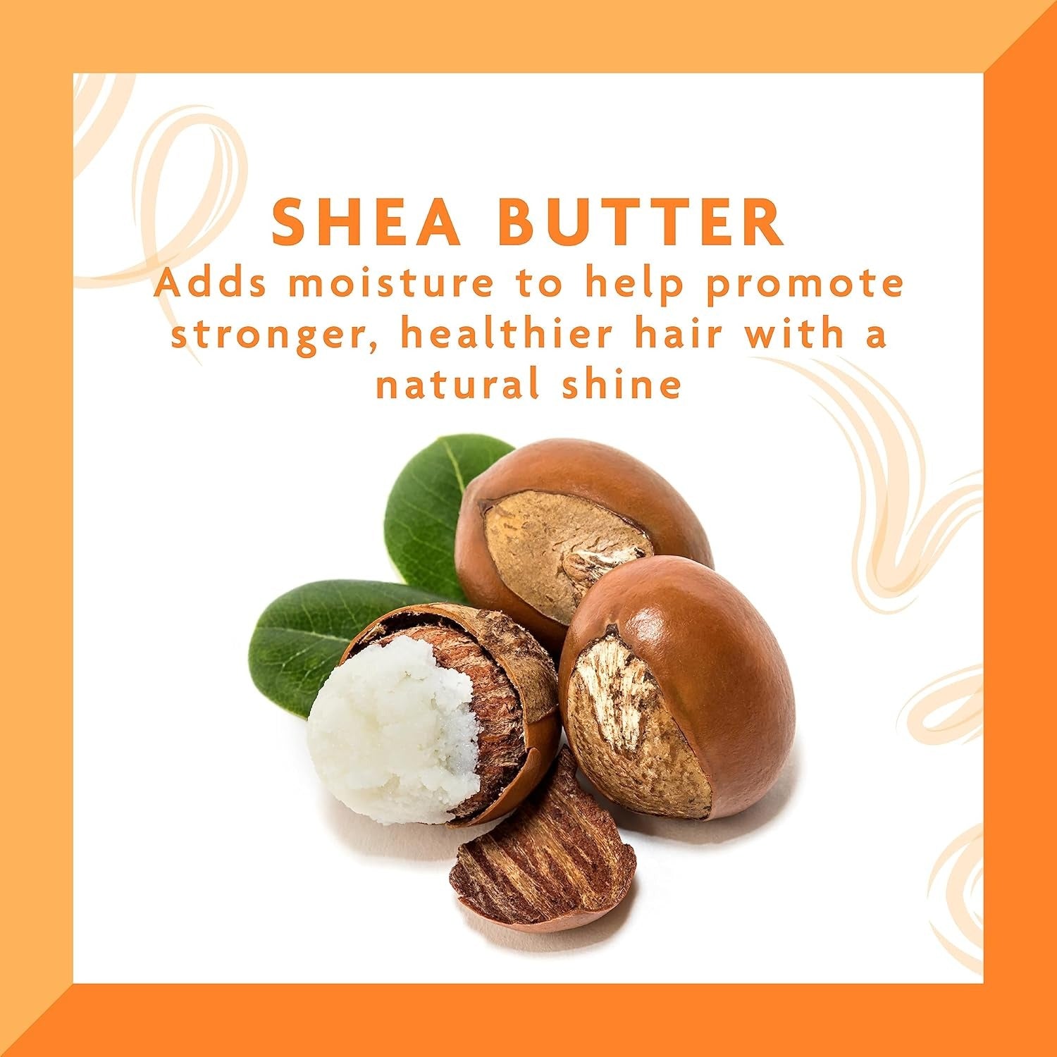 Shea Butter Moisturizing Cream Shampoo