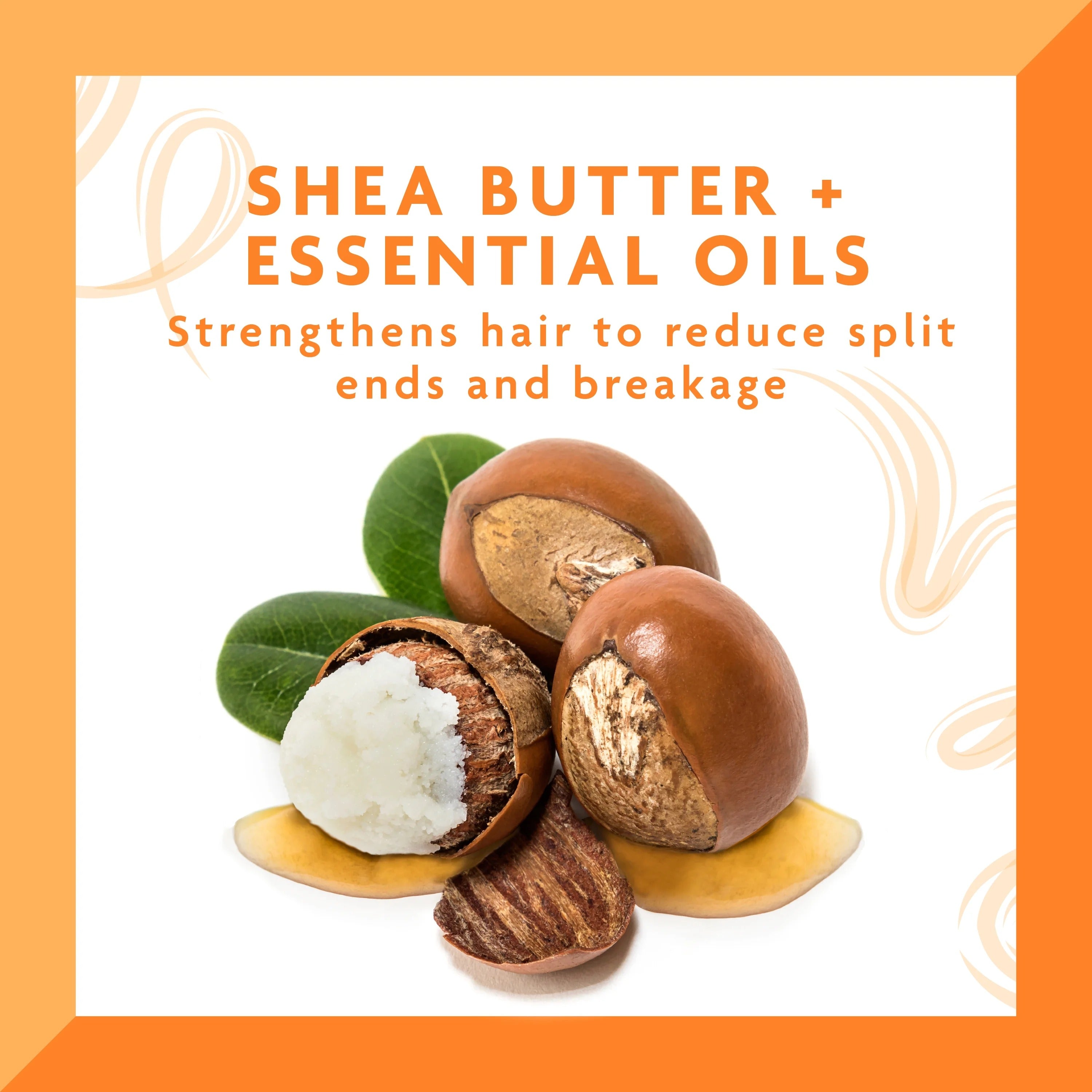 Shea Butter Daily Oil Moisturizer