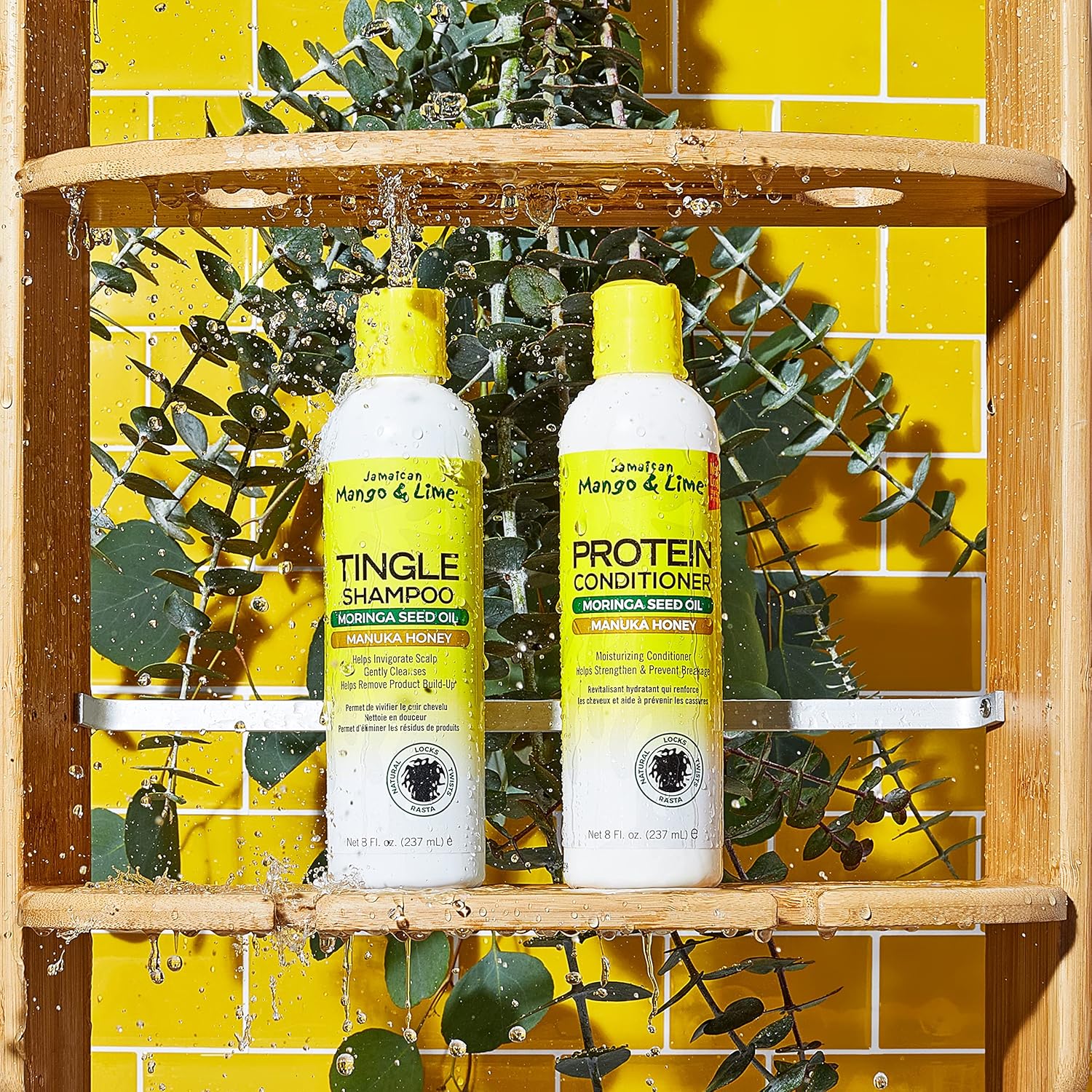 Tingle Shampoo With Moringa Seed Oil & Manuka Honey
