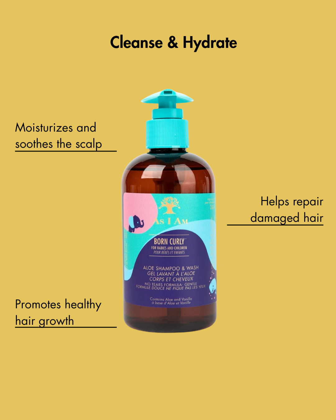 Born Curly Aloe Shampoo & Wash