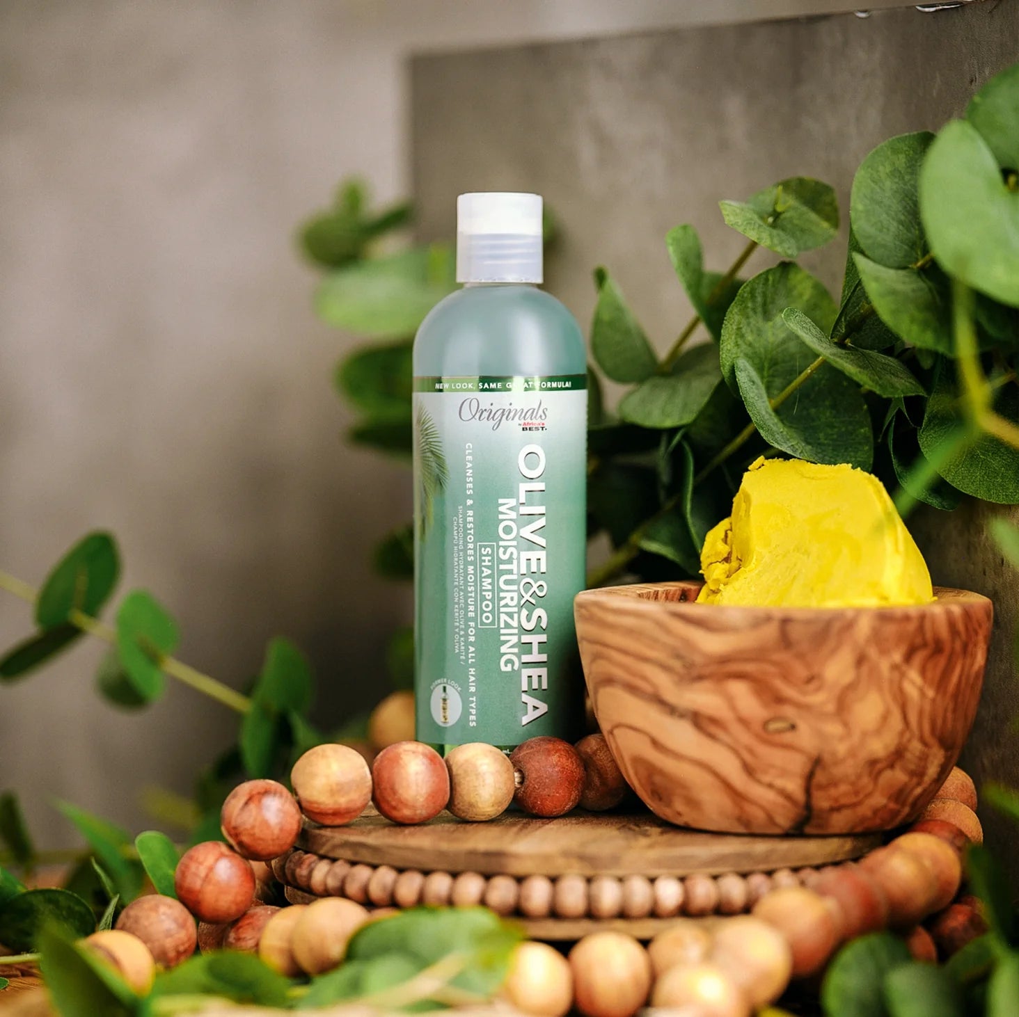 Olive & Shea Moisturizing Shampoo