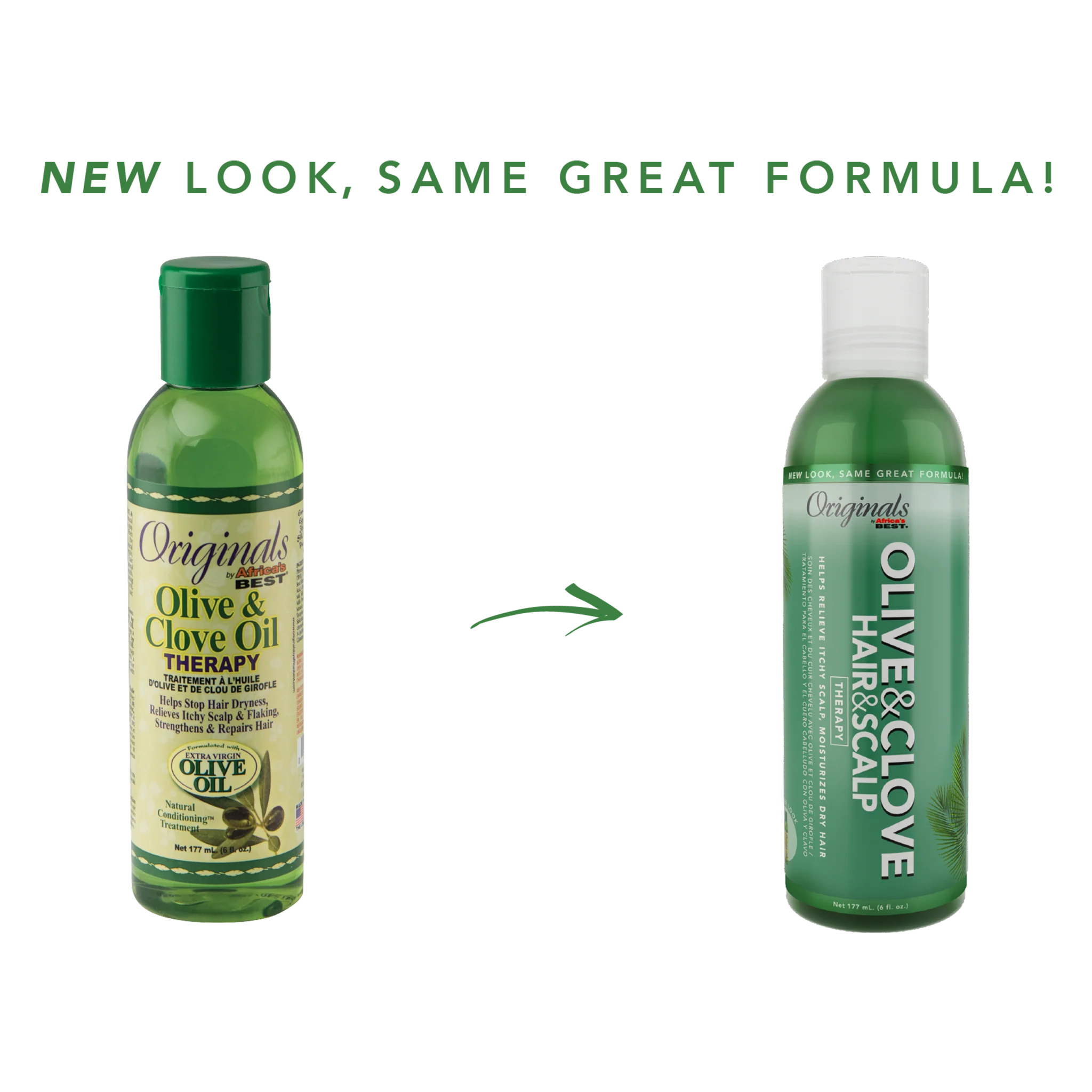 Olive & Clove Hair & Scalp Therapy