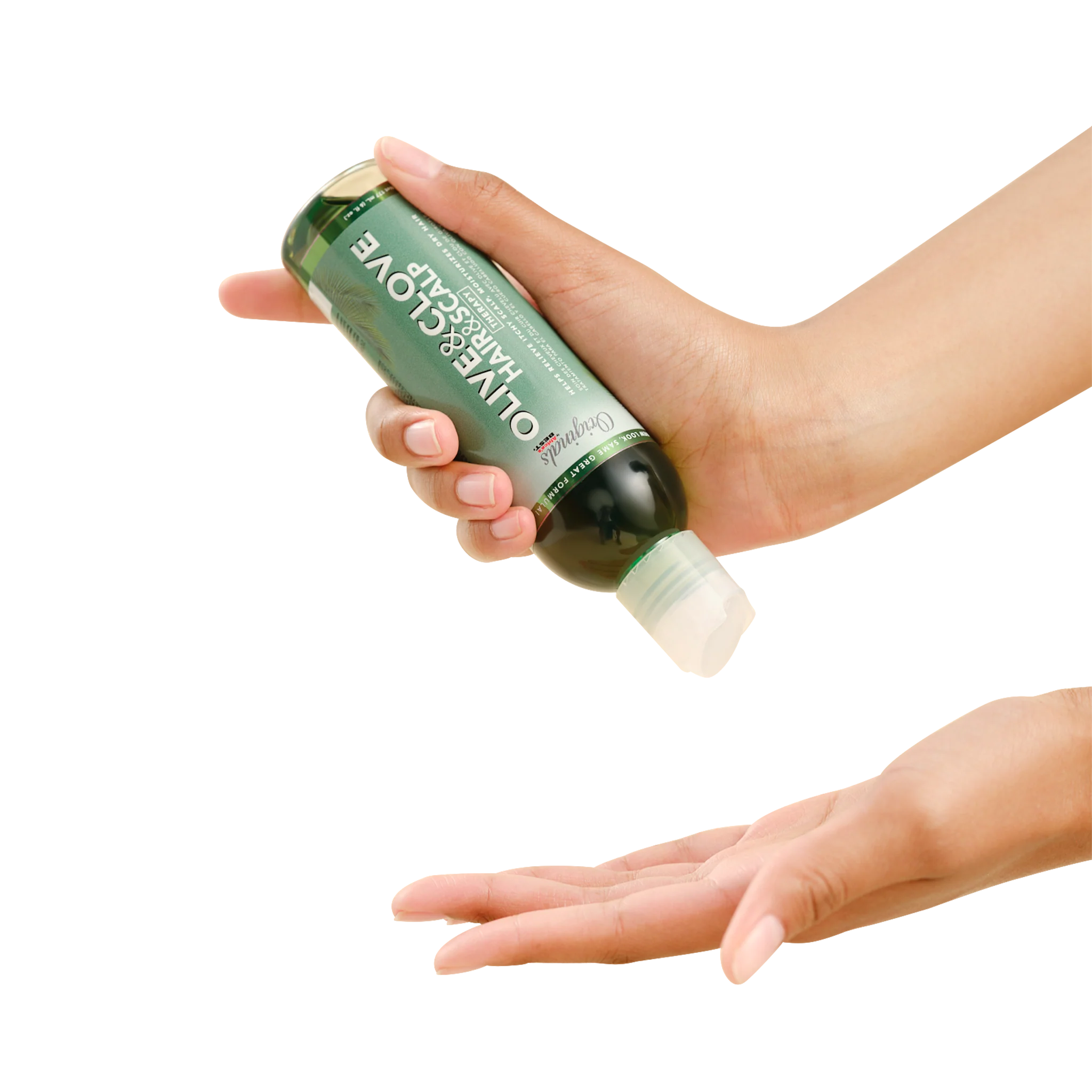 Olive & Clove Hair & Scalp Therapy