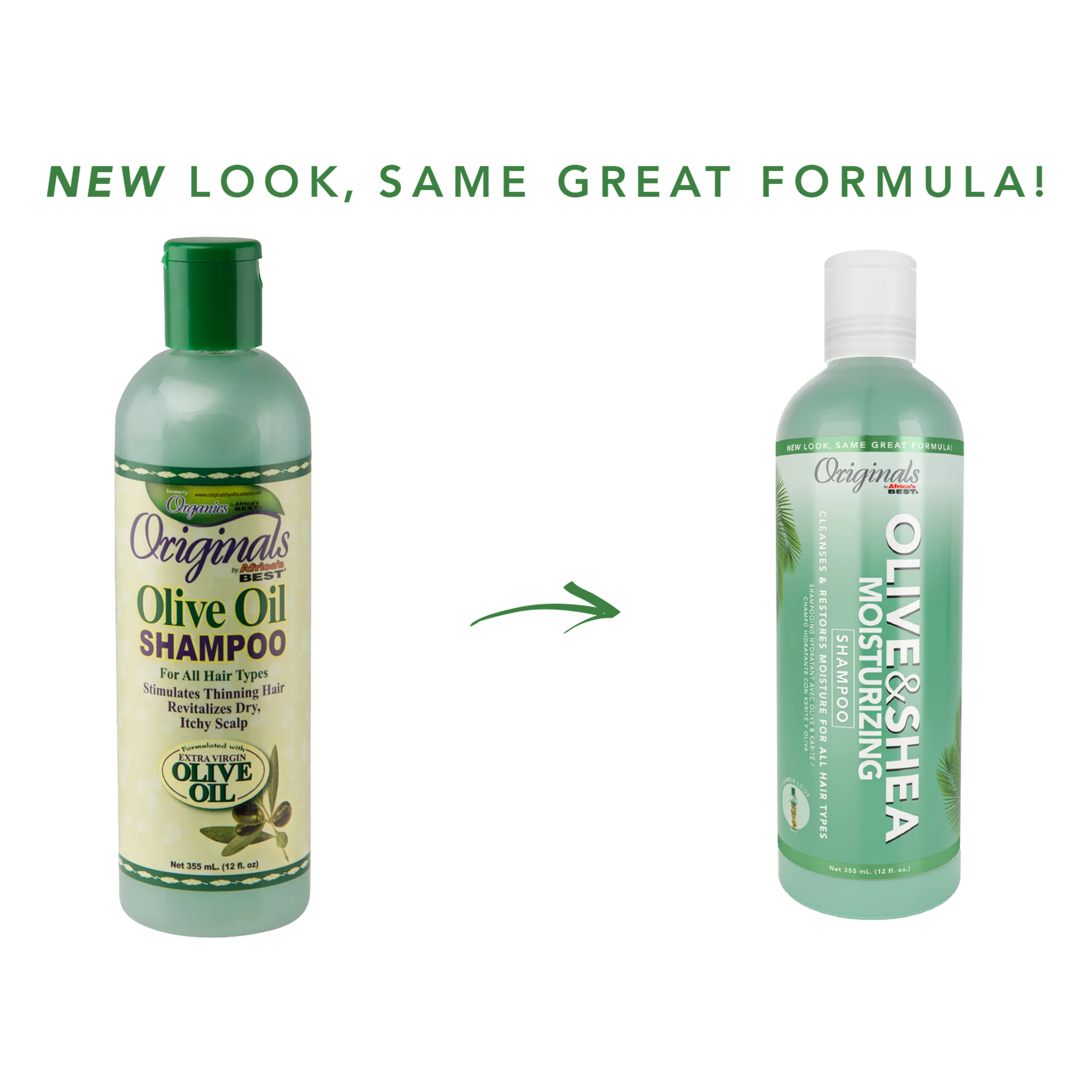 Olive & Shea Moisturizing Shampoo