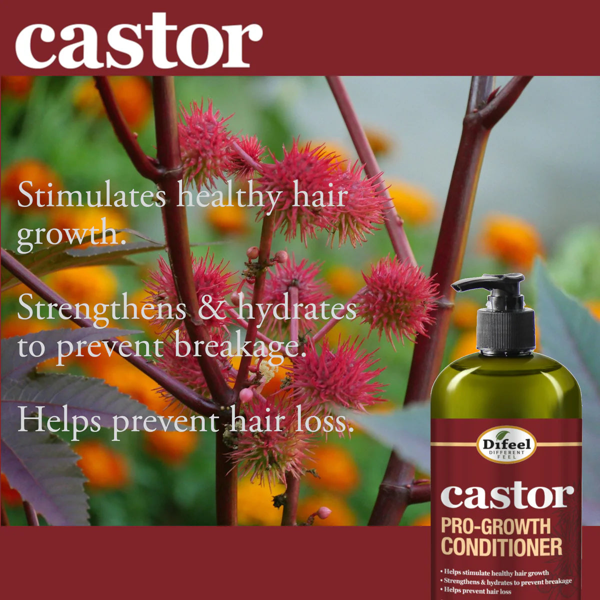 Castor Pro Growth Conditioner