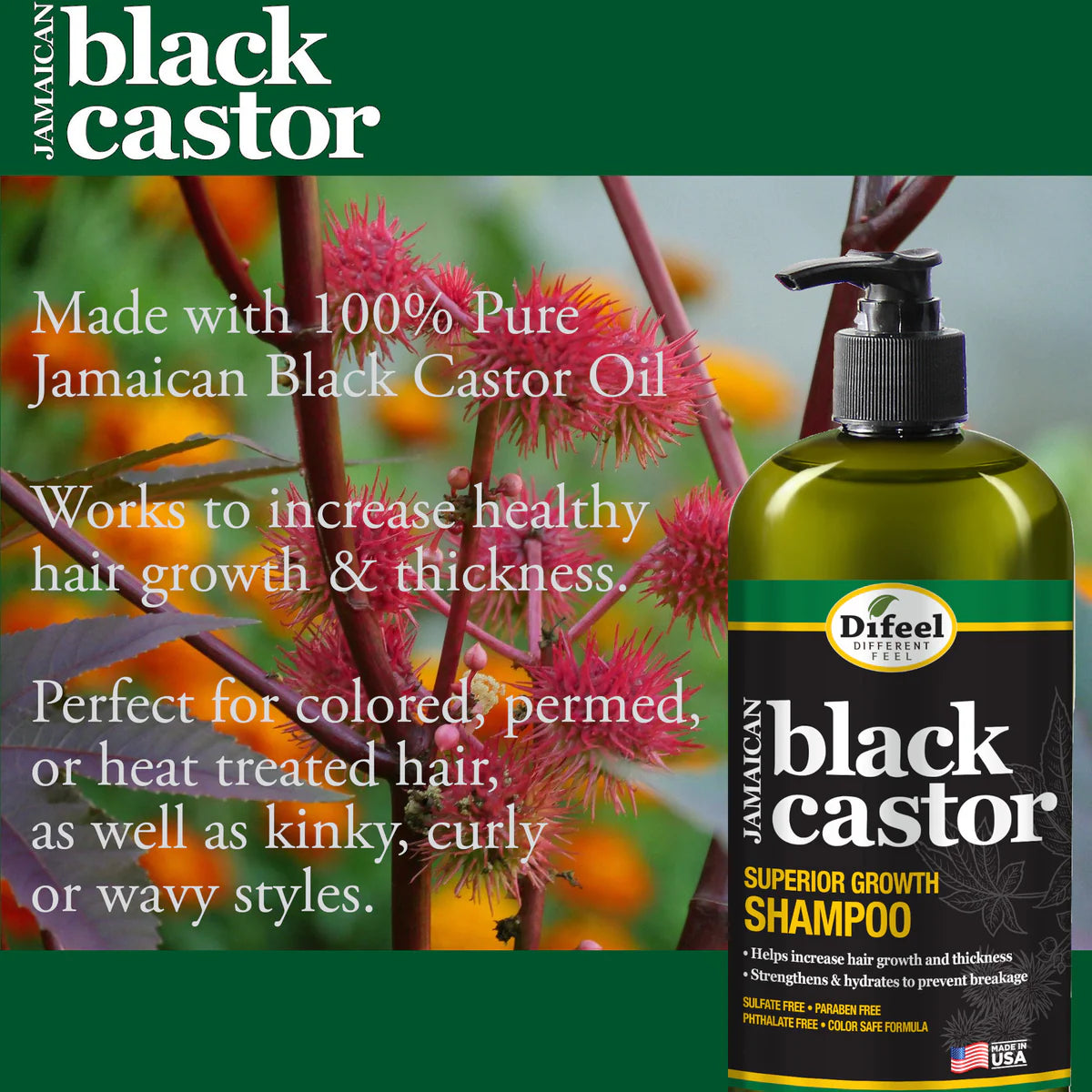Jamaican Black Castor Superior Growth Shampoo