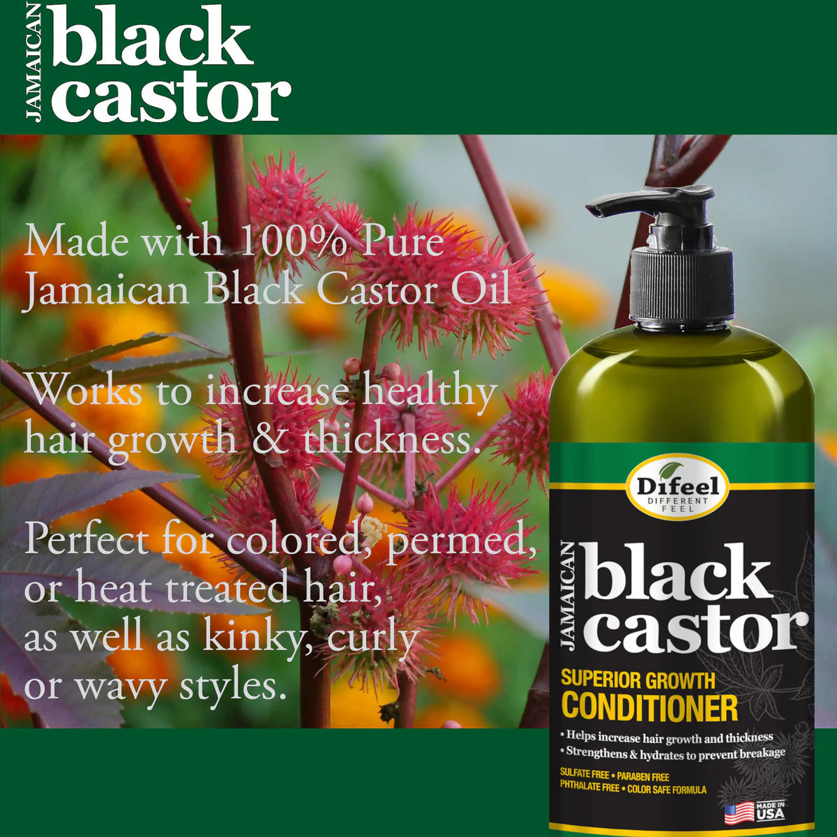Jamaican Black Castor Superior Growth Conditioner