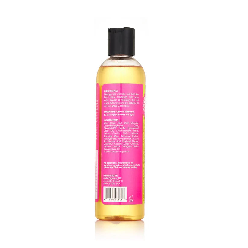 Babassu Conditioning Shampoo For Dry And Curly Hair Types